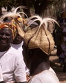 pict0009.jpg