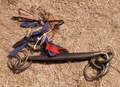 pict0041.jpg