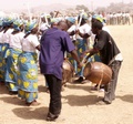 pict0044.jpg