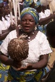 pict0045.jpg