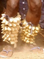 pict0067.jpg