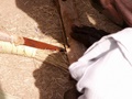 pict0073.jpg
