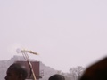 pict0078.jpg