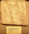 dscf0890.jpg