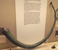 dscf0897.jpg