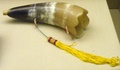 dscf8696.jpg