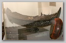 pict0005.jpg