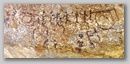 pict0071.jpg