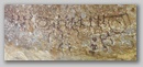 pict0072.jpg
