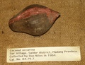 pict0025.jpg