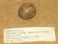pict0028.jpg