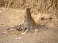 dscf0054.jpg