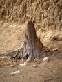 dscf0055.jpg
