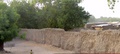 dscf0056.jpg