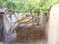 dscf0059.jpg