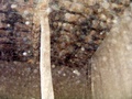 dscf0079.jpg