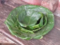 pc060400.jpg