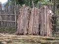 pc060452.jpg