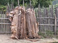 pc060453.jpg