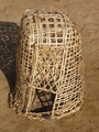 pc070369.jpg