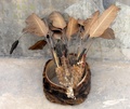 pc060372.jpg