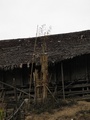 pc060410.jpg