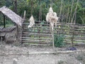 pc060474.jpg