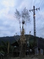 pc060477.jpg