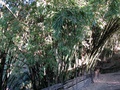 img_0138.jpg