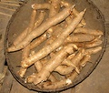 img_0250.jpg