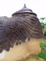 dscf1185.jpg