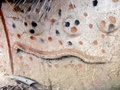 dscf1189.jpg