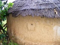 dscf1235.jpg