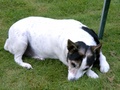 pict0036.jpg